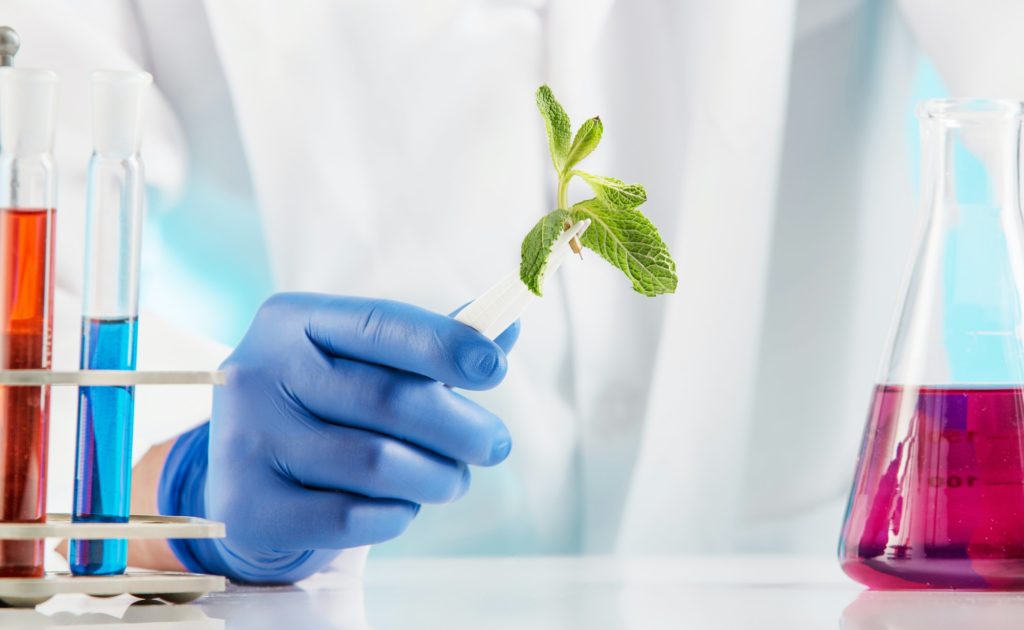 Plant sciences in lab